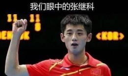 张继科球迷爆料微博视频,揭秘赛场幕后精彩瞬间